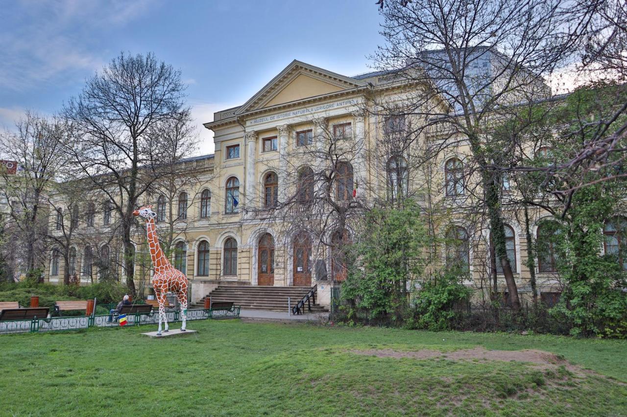Oak Apartment - Piata Victoriei Bukurešť Exteriér fotografie